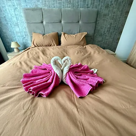 Q4 Comfort Belgrade